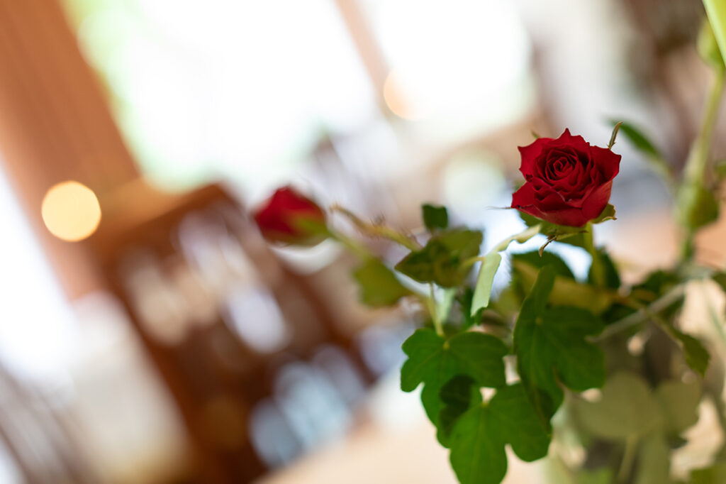 Glasvase mit drei roten Rosen steht auf einem Tisch im Restaurant Karlstadt